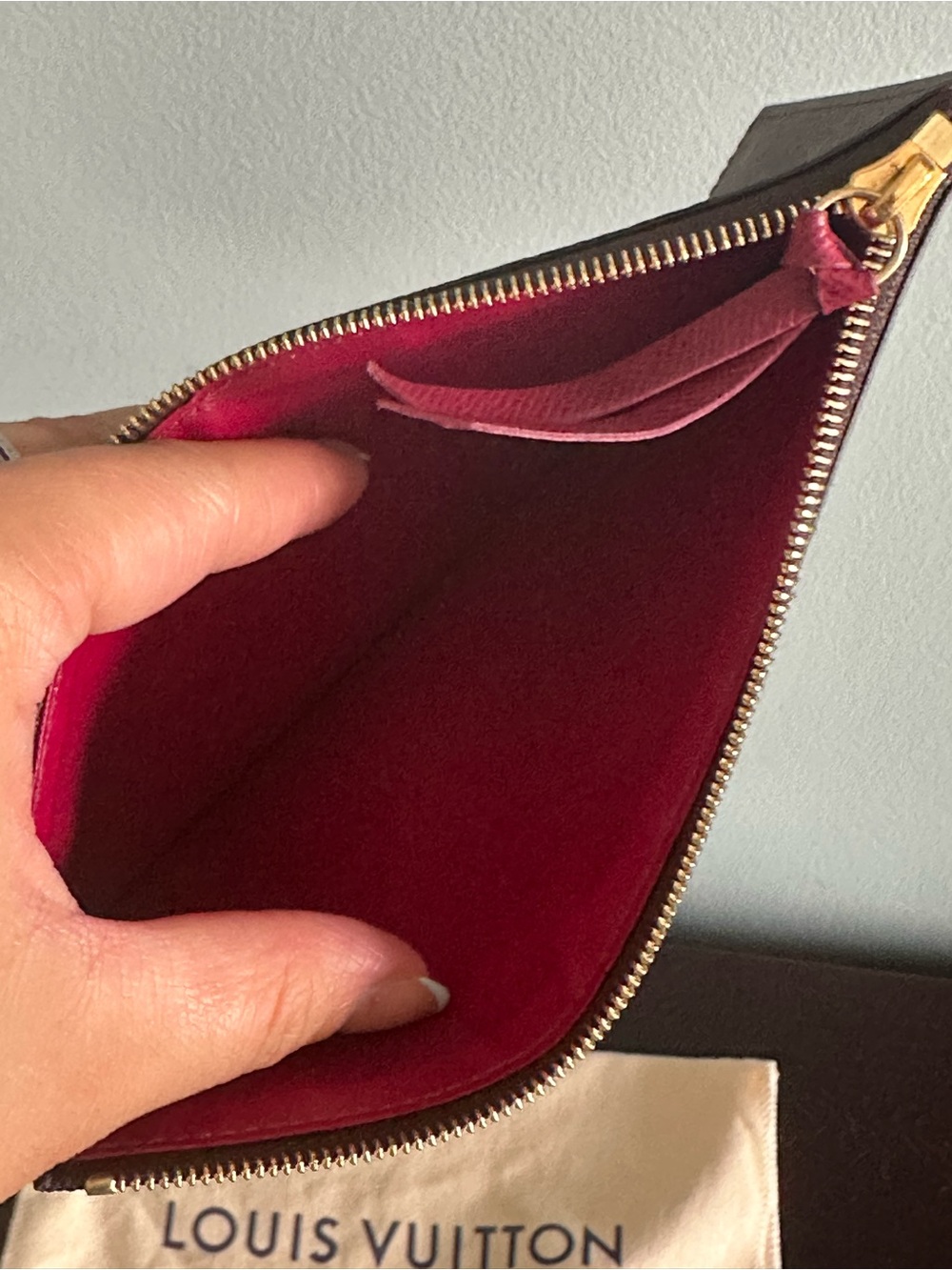 Louis Vuitton Monogram Pochette Félicie One Insert & dust bag - Picture 17 of 17
